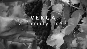 Verga